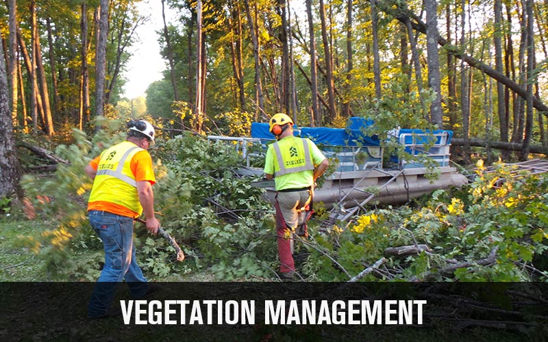 Vegetation Management