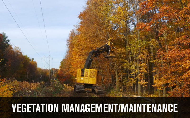 Vegetation Management